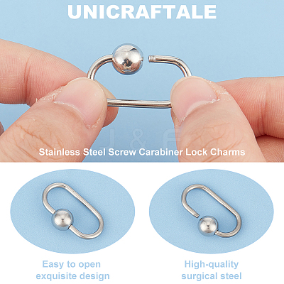 6Pcs 304 Stainless Steel Screw Carabiner Lock Charms STAS-UN0060-18-1