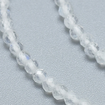 Natural Rainbow Moonstone Beads Strands G-D0003-E91-3MM-1