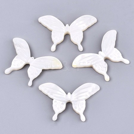 Natural White Shell Beads X-SSHEL-N032-10-1