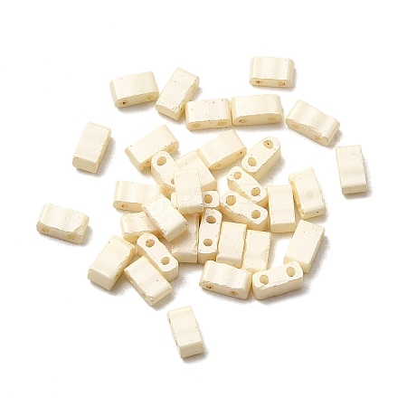 2-Hole Baking Paint Glass Seed Beads SEED-S023-17B-39-1
