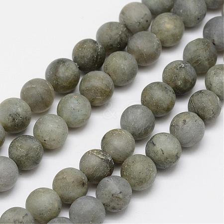 Natural Labradorite Frosted Bead Strands G-O155-04B-4mm-1