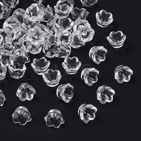Transparent Acrylic Beads LS-X-PL548-1-1