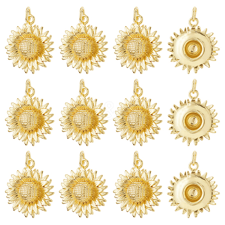 12Pcs Brass Pendants KK-HS0015-34-1