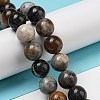 Natural Dendritic Jasper Beads Strands G-R494-A23-04-4