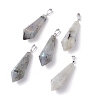Natural Labradorite Pointed Pendants G-I314-02P-02-1