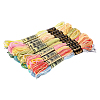 18 Skeins 6-Ply Polyester Embroidery Floss DIY-CY0002-44-7