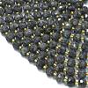 Natural Labradorite Beads Strands G-K389-E75-01-3