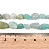 Natural Amazonite Nuggets Beads Strands G-J335-31B-5