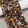 Natural Alashan Agate Beads Strands X-G-Q060-D19-01-1