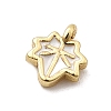 Brass Enamel Charms KK-P338-30G-03-2
