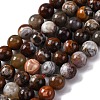 Natural Mexico Crazy Agate Beads Strands G-L615-A01-01-3