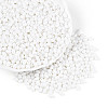 Baking Paint Glass Seed Beads SEED-N007-29L-2