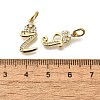 26Pcs Brass Micro Pave Cubic Zirconia Pendants KK-R218-07G-3