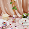 Resin Cabochons MRMJ-HS0001-02-5