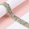 Natural Imperial Jasper Beads Strands G-L578-A03-4