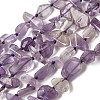 Natural Amethyst Beads Strands G-D365-E03-02-2