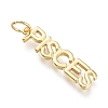 Brass Pendants ZIRC-I048-15G-09-1