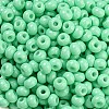 Imitation Jade Glass Seed Beads SEED-Z001-A-B10-3