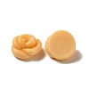 Opaque Resin Imitation Food Decoden Cabochons RESI-A033-05O-2
