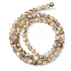 Natural Freshwater Shell Beads Strands SHEL-K006-71B-2