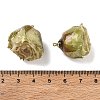 Brass Epoxy Resin Pendants FIND-D043-01G-10-3