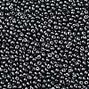 6/0 Glass Seed Beads X1-SEED-L011-08A-10-3