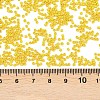 MIYUKI Delica Beads SEED-MY11-DB2284-3