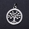 304 Stainless Steel Pendants STAS-T046-JA350-1A-P-1
