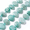 Natural Amazonite Beads Strands G-P434-22-2