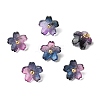 Alloy Acrylic Pendants TACR-P016-01G-12-1