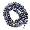 Natural Blue Spot Jasper Beads Strands G-L649-C01-01-3