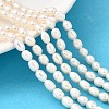 Natural Cultured Freshwater Pearl Beads Strands PEAR-I007-01P-03C-1