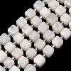 Natural Rainbow Moonstone Beads Strands GG-CBAC972-A06-01-2