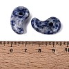 Natural Blue Spot Jasper Pendants G-S294-07B-14-3