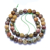 Natural Ocean Jasper Beads Strands G-I279-E20-04-2