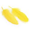 Goose Feather Costume Accessories FIND-Q044-09-2