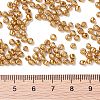 8/0 Glass Seed Beads X-SEED-A017-3mm-1108-3