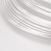 Carbon Steel Memory Wire LS-STAS-H021-S-1-2