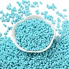 Rubberized Style Glass Seed Beads SEED-Z003-01D-2