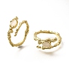 Oval Brass Cat Eye Cuff Rings for Women RJEW-U042-01G-4