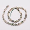 Natural Tree Agate Bead Strands X-G-G882-6mm-E02-3