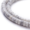 Natural Howlite Beads Strands G-H230-38-3