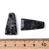 Natural Larvikite Pendants G-Q601-10A-3