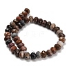 Natural Petrified Wood Beads Strands G-C259-A06-8x12mm-01-3