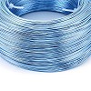 Anodized Aluminum Wire AW-S001-0.6mm-19-2