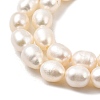 Natural Cultured Freshwater Pearl Beads Strands PEAR-I007-01P-03C-4
