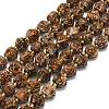 Natural Starburst Jasper Beads Strands G-I376-A60-01-1