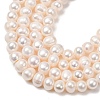 Natural Cultured Freshwater Pearl Beads Strands PA-CBABE82-15C-3
