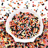Baking Paint Glass Seed Beads SEED-N007-02E-2