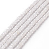 Natural Rainbow Moonstone Beads Strands G-F717-19-1